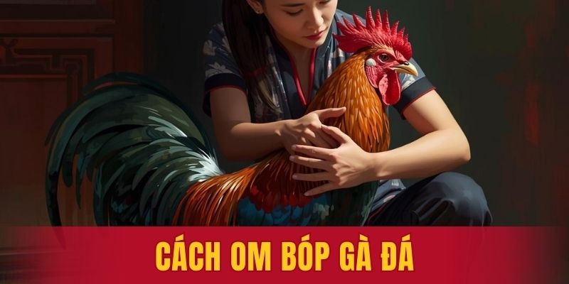 Cách om bóp gà đá
