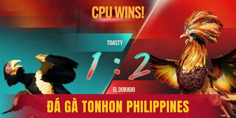 đá gà Tonhon Philippines