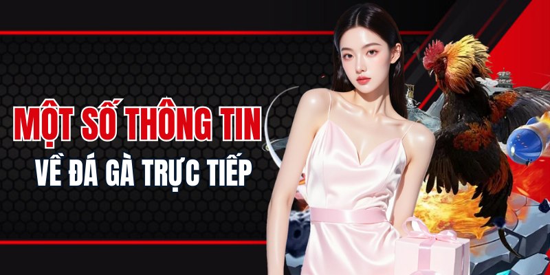 Một số thông tin cơ bản về đá gà trực tiếp
