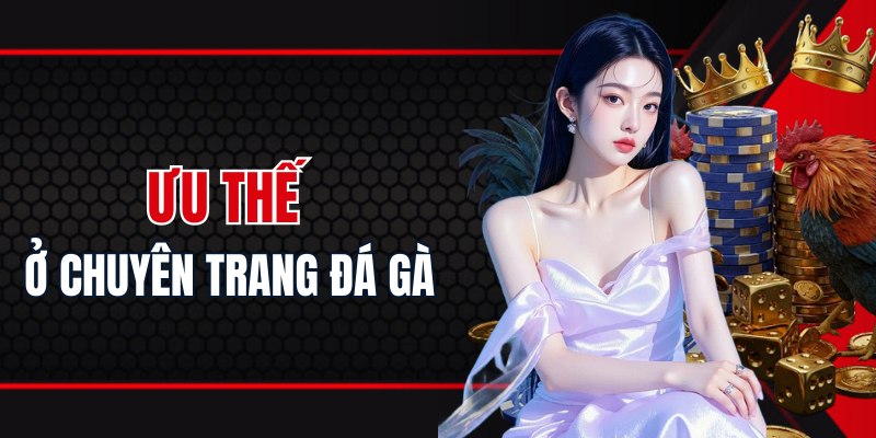 Ưu thế nổi trội khiến chuyên trang đá gà trở thành điểm đến lý tưởng